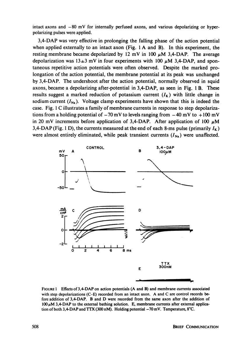 3,4-diaminopyridine. A Potent New Potassium Channel Blocker - Pmc