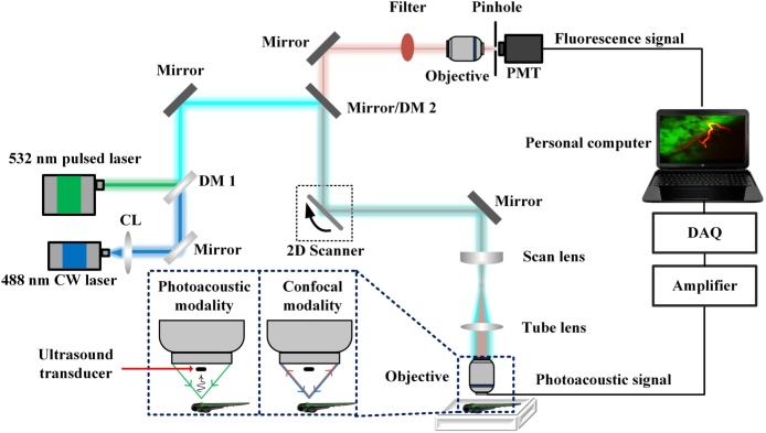 Fig. 1