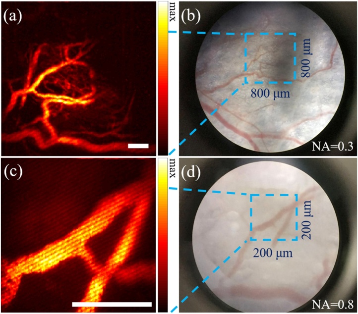 Fig. 4