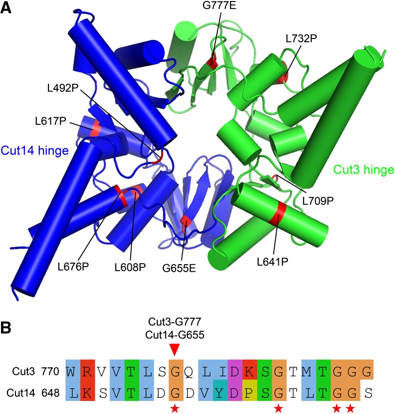 Figure 5