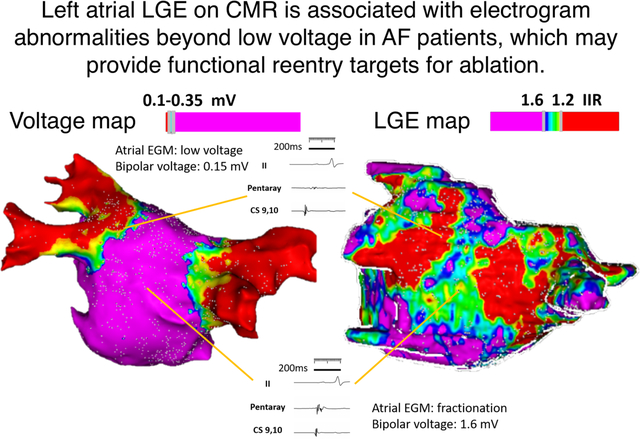 graphic file with name nihms-1549822-f0001.jpg