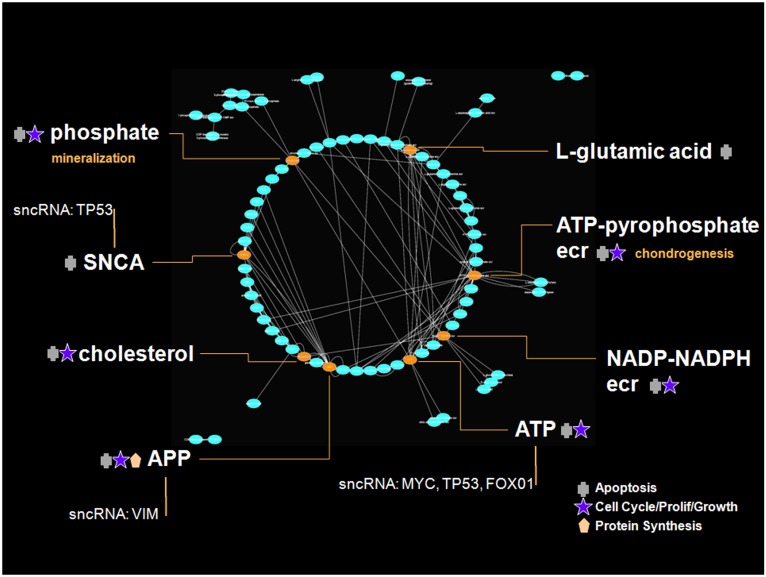 Fig 6