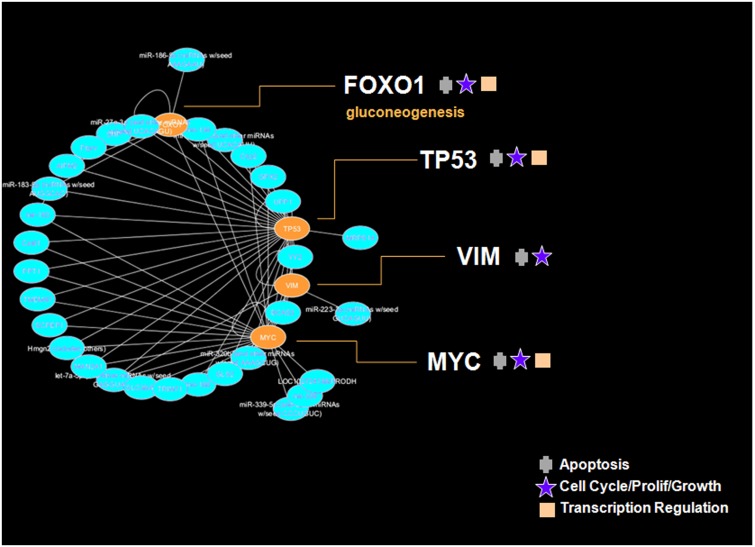 Fig 11