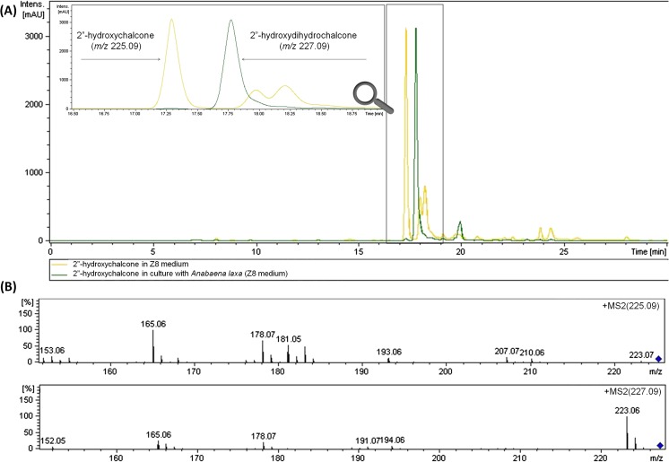 Fig. 7