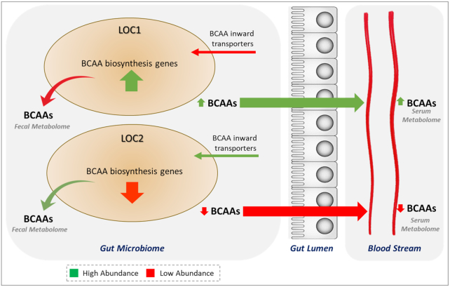 Figure 7: