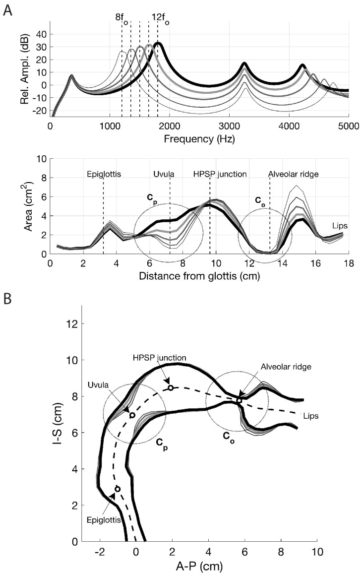 Appendix 1—figure 13.