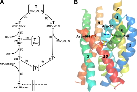 FIGURE 1.