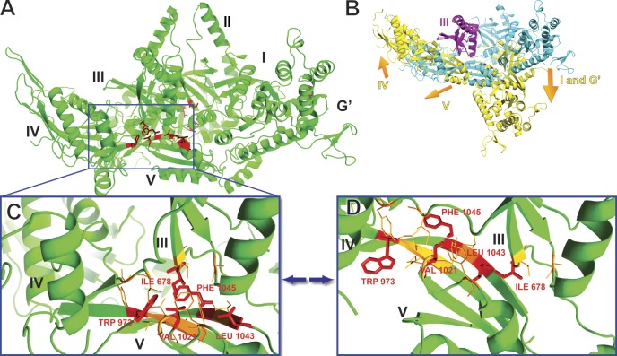 Figure 6.