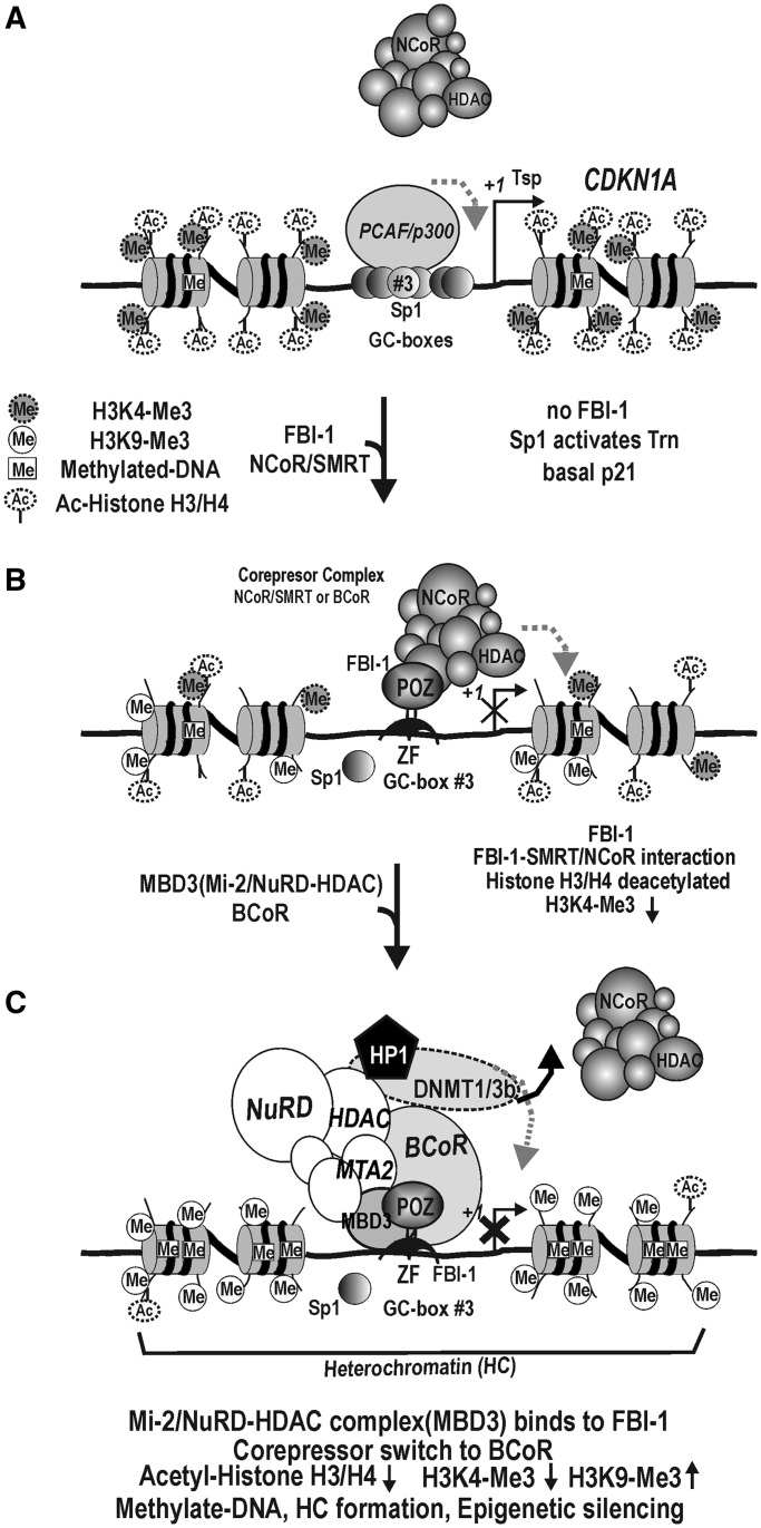 Figure 10.