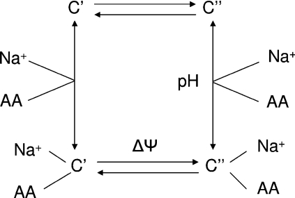 Figure 8