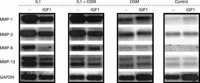 Figure 4  