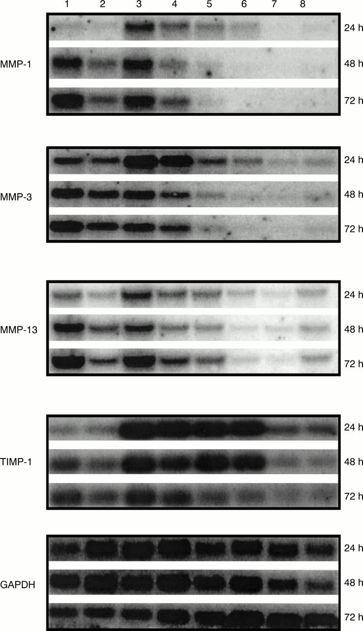 Figure 3  