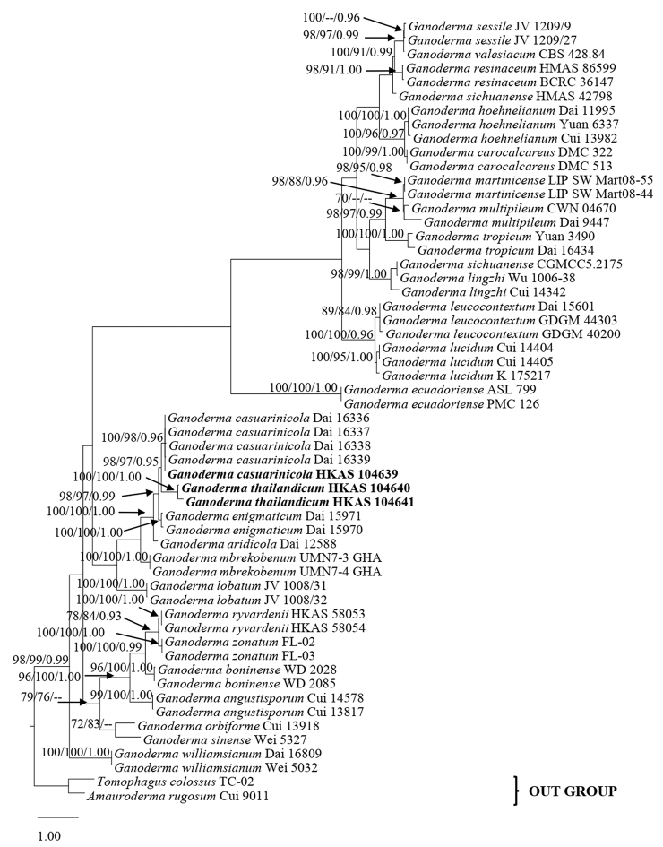 Figure 1.