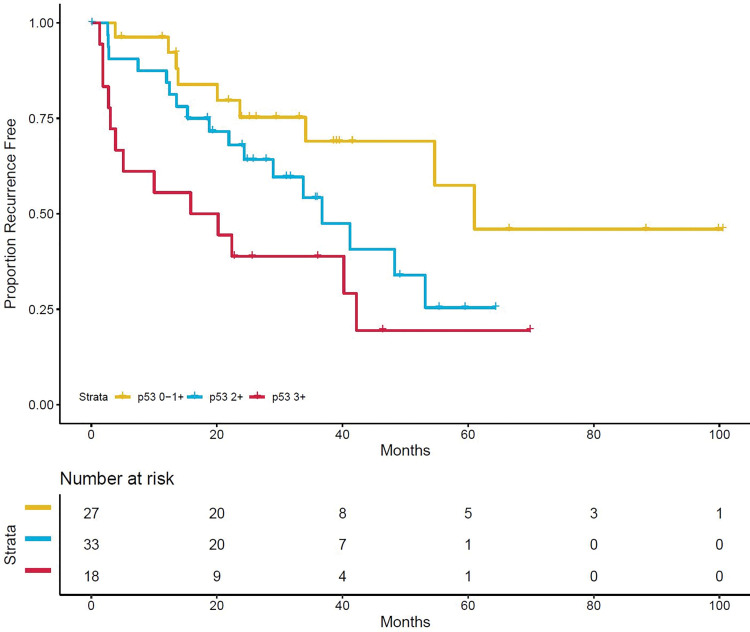 Kaplan-Meier curve of recurrence-free survival by p53 stain intensity. One patient is not shown because of missing data. Censored patients are denoted by hash marks.