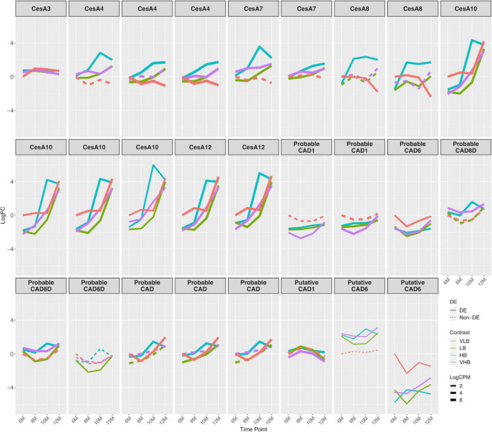 FIGURE 3