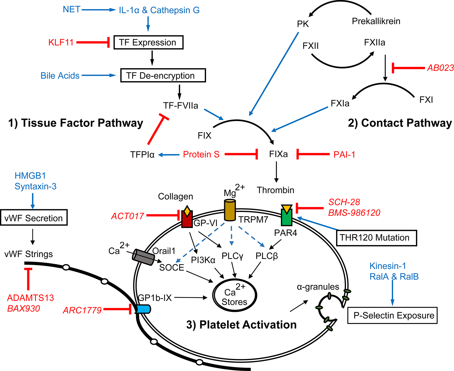 Figure 1.