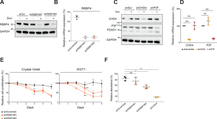 Figure 1—figure supplement 2.