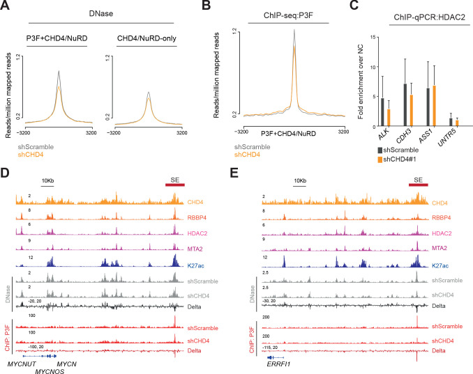 Figure 4—figure supplement 3.