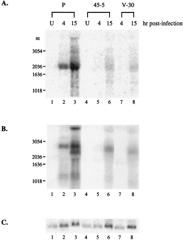 FIG. 8