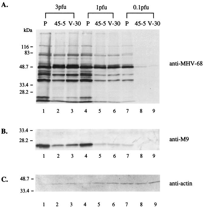 FIG. 9