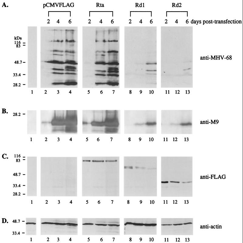 FIG. 6