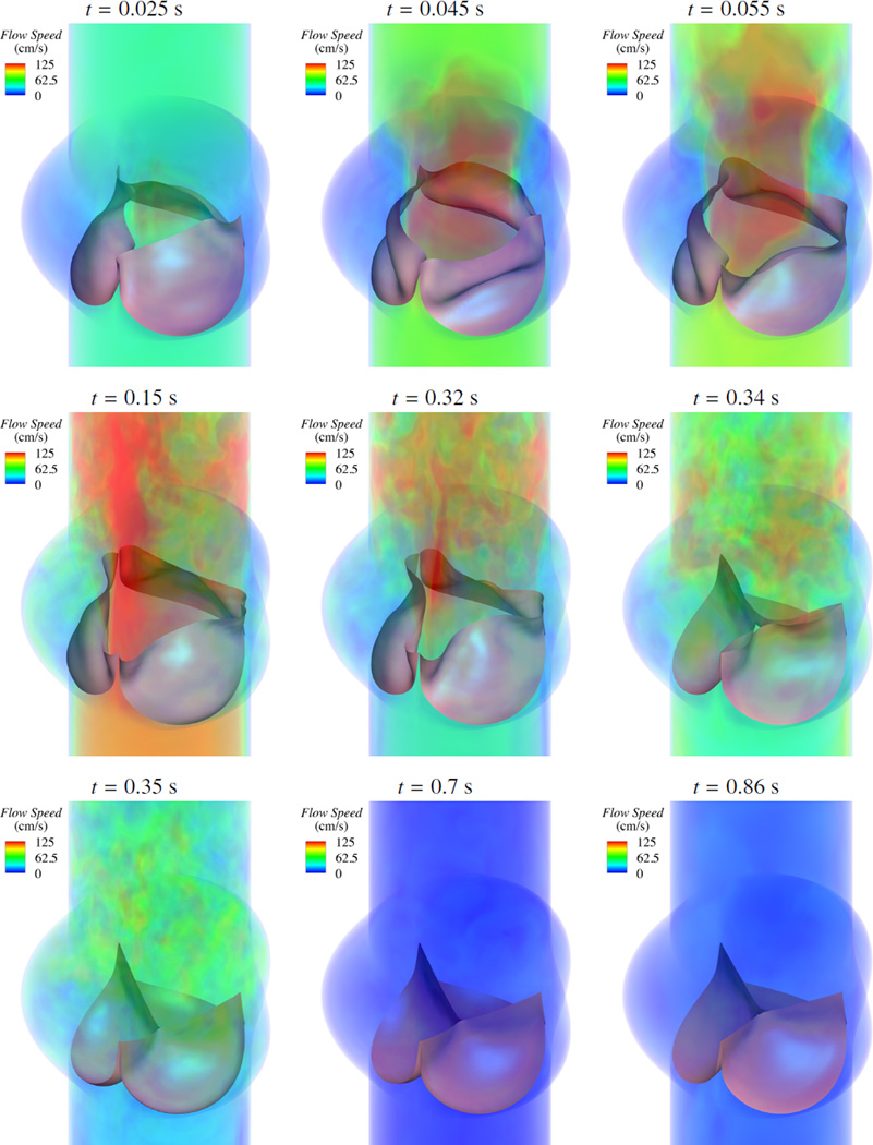 Figure 30