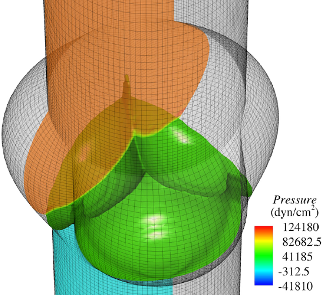 Figure 31