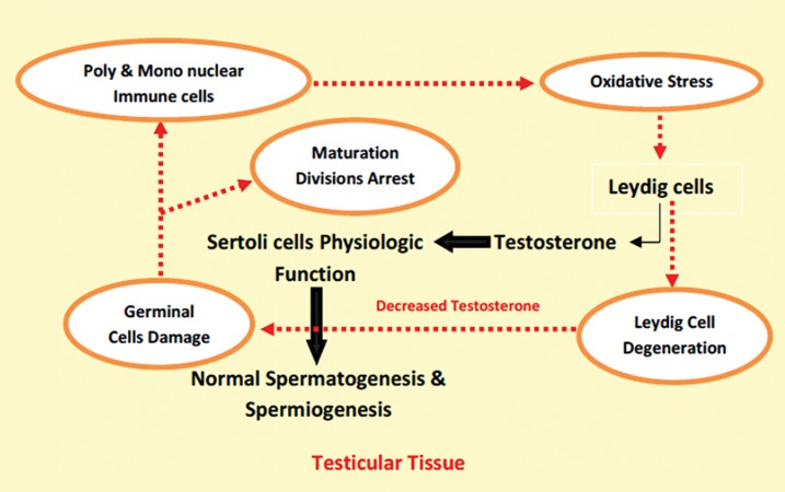 Fig.3