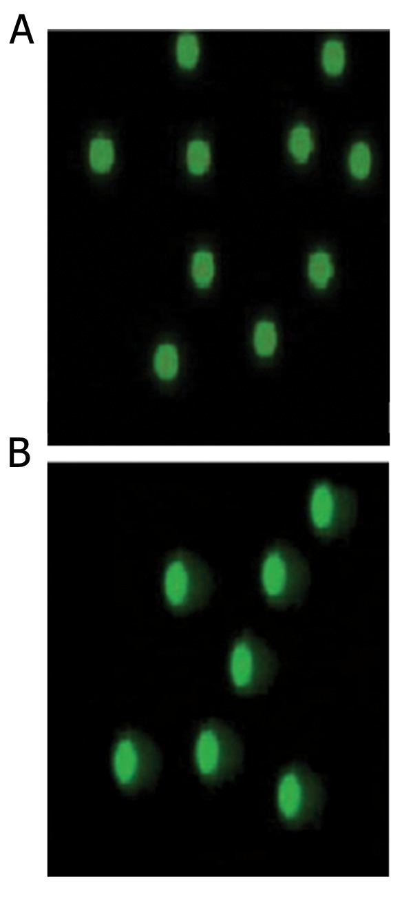 Fig.4