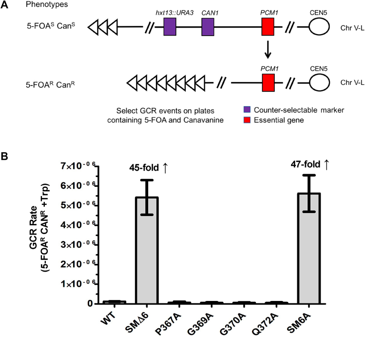 Figure 6.