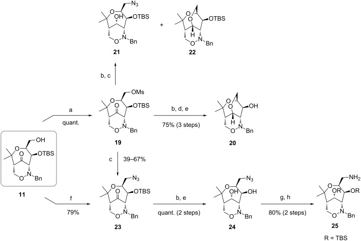 Scheme 8