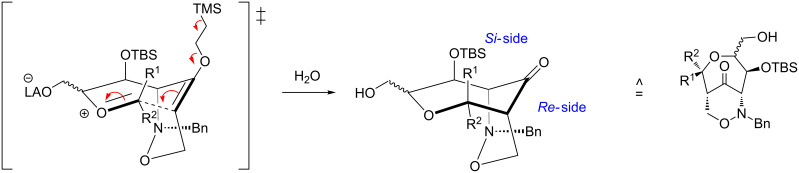 Scheme 5