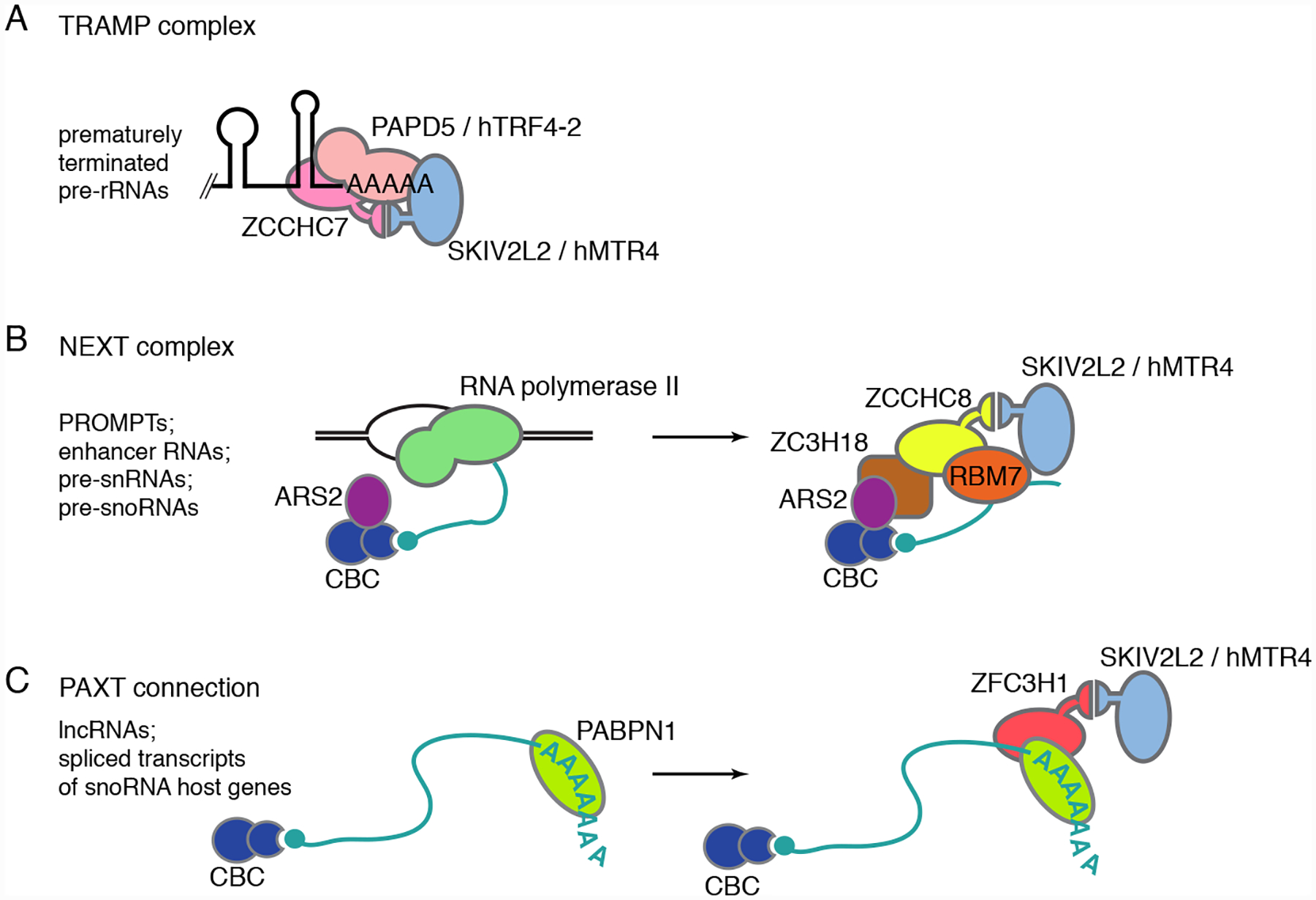 Figure 5.