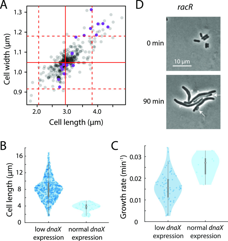 FIG 3