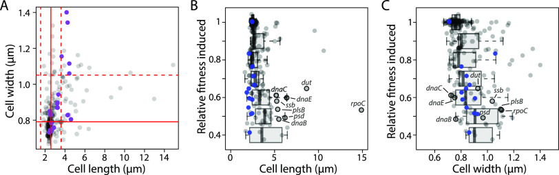 FIG 4