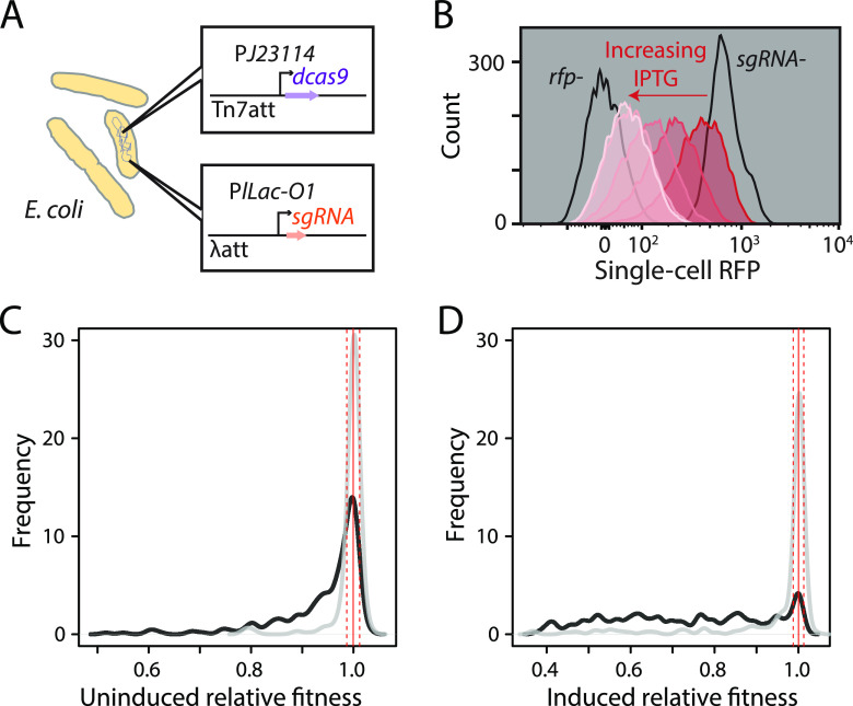 FIG 1