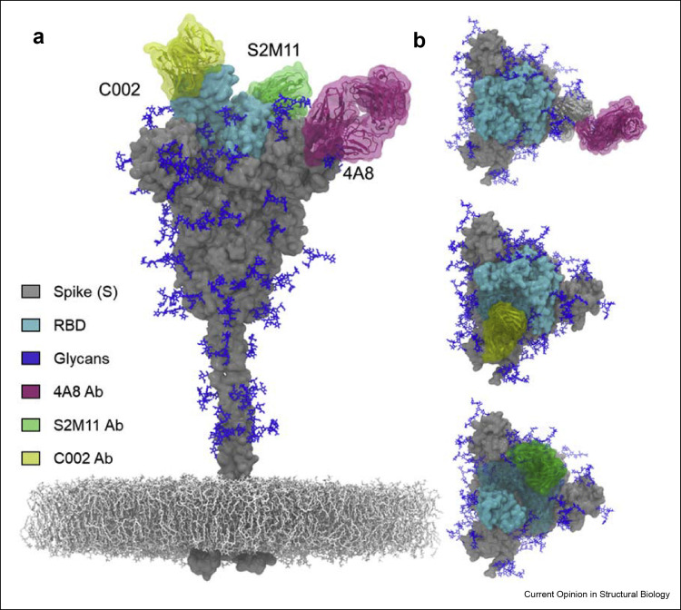 Figure 4