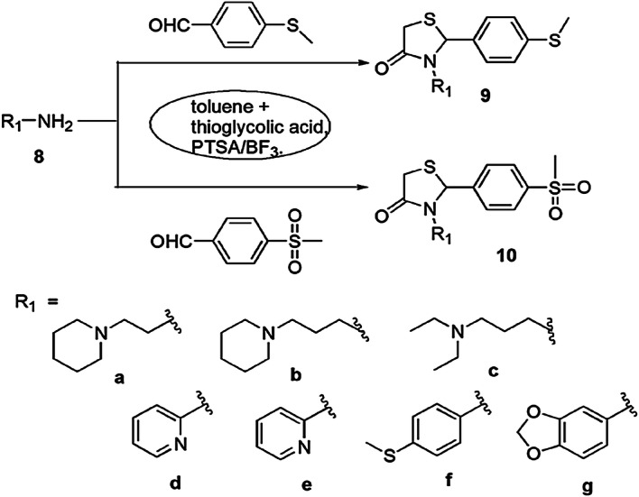 Scheme 5