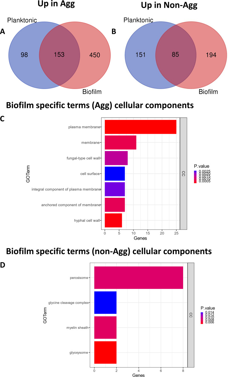 FIG 2