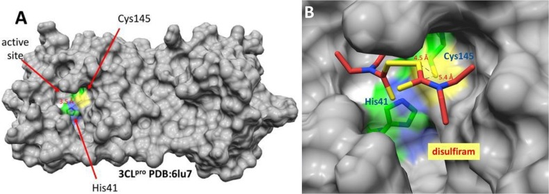 Fig. 22