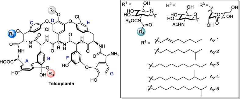 Fig. 23