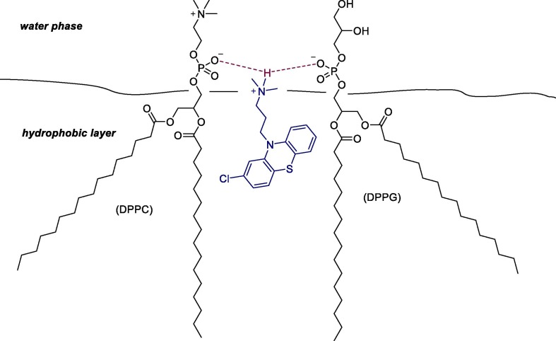 Fig. 21