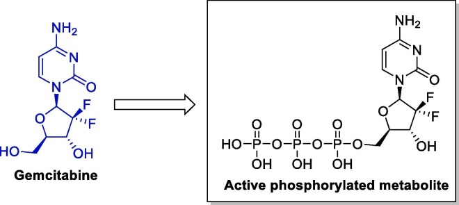 Fig. 14