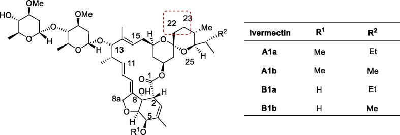 Fig. 12