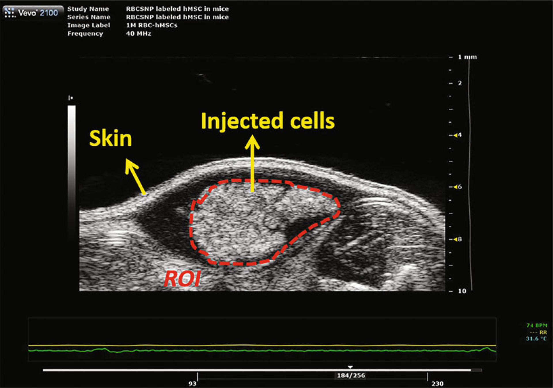 Fig. 3