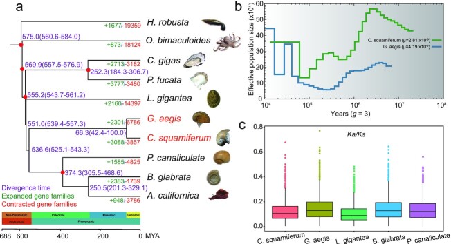 Figure 2: