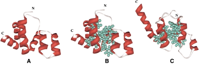 Figure 3.