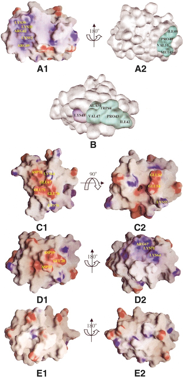 Figure 5.