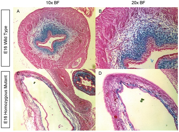 Figure 18