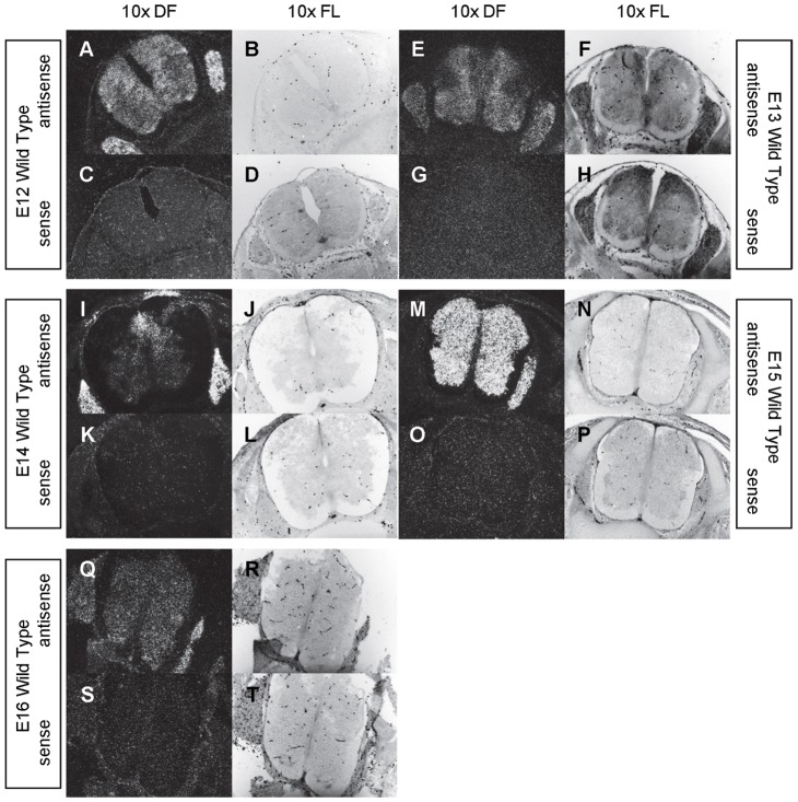 Figure 17